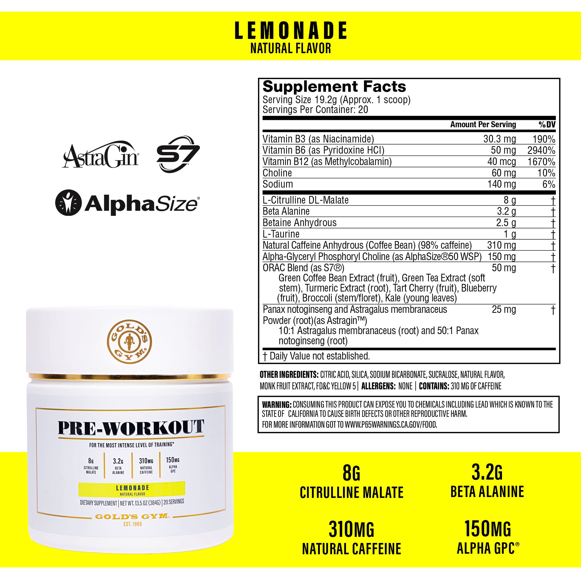 Gold's Gym® Pre-Workout Powder - Lemonade