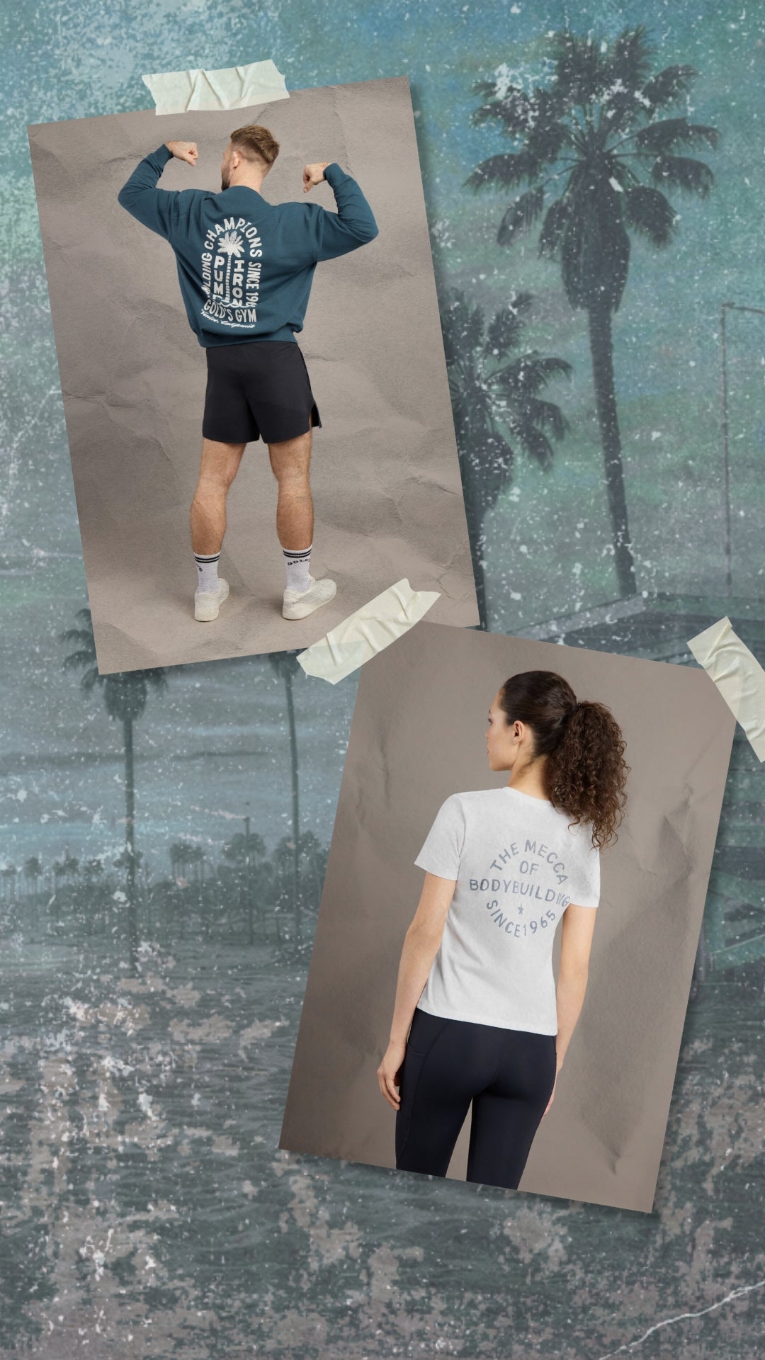 Gold's Gym® Official Store | Men's Gym Apparel & Bodybuilding Gear